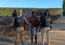 Operação da Polícia Civil desmantela associação criminosa envolvida em crimes ambientais e furto de madeira em Prado e Alcobaça