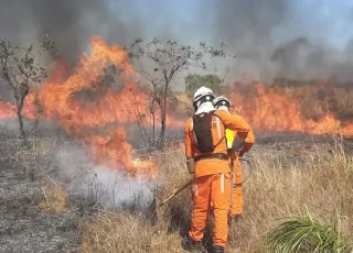 Operação de prevenção e combate aos incêndios florestais ganha reforço de novos bombeiros militares 