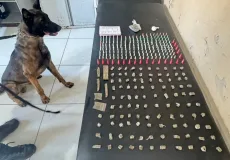Operação do 8º BPM com apoio do K-9 Baruk resulta em apreensão de drogas em Coroa Vermelha