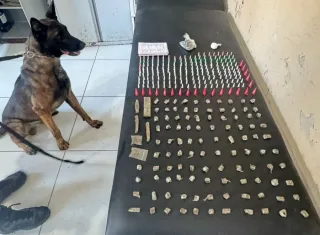 Operação do 8º BPM com apoio do K-9 Baruk resulta em apreensão de drogas em Coroa Vermelha