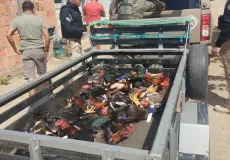 Operação “Fauna Protegida” combate crimes ambientais em São João do Paraíso