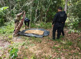 Operação integrada identifica cemitério clandestino ligado a organização criminosa em Itabela