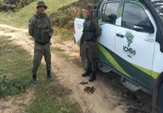 Operação no Parque Nacional do Alto Cariri resulta em prisão por crimes ambientais e apreensão de arma de fogo