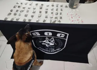Operação Policial com cão farejador resulta em apreensão de drogas e prisão em Itabatã