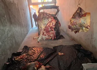 11 suspeitos de furtos de gado são presos durante operação no Extremo Sul da Bahia