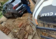 Operação Voo Livre: PRF e Polícia Civil combatem tráfico de animais silvestres na Bahia