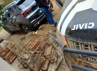 Operação Voo Livre: PRF e Polícia Civil combatem tráfico de animais silvestres na Bahia