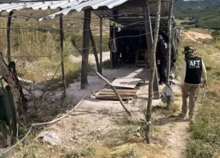 69 trabalhadores em condições análogas à escravidão na Bahia