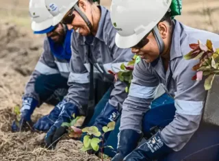 Oportunidade: Suzano está com inscrições abertas para vagas em Mucuri e região