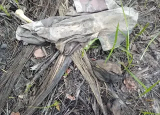 Ossada humana é encontrada em praia de Caravelas 