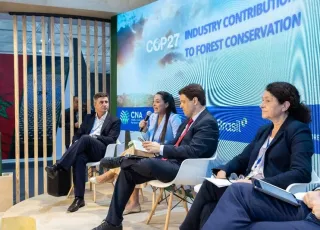 Papel da indústria na conservação das florestas é debatido em painel do estande do Brasil na COP 27