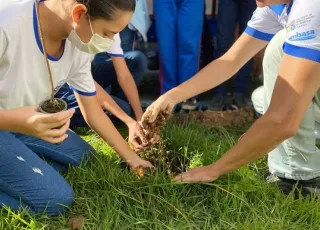 Para comemorar o Dia do Meio Ambiente,  Embasa realiza plantio de 750 mudas de árvores  no  extremo sul 