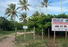 Parceria entre SEMAM, ASACAM e Centro TAMAR/ICMBio fortalece proteção das tartarugas marinhas em Mucuri