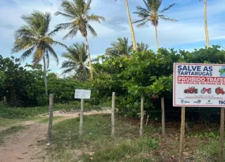 Parceria entre SEMAM, ASACAM e Centro TAMAR/ICMBio fortalece proteção das tartarugas marinhas em Mucuri