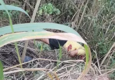 Passageiro de aplicativo é executado com vários tiros na BR-101 em Teixeira de Freitas