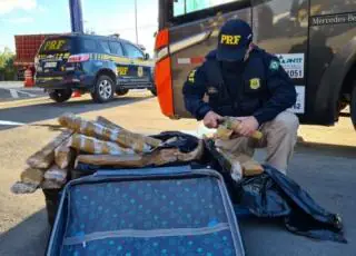 Passageiros são flagrados com suas bagagens recheadas de droga em trecho baiano