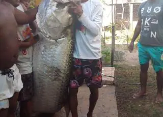 Pescador captura peixe de mais de 100 quilos no litoral do RN: 'Foi luta pra tirar da água'