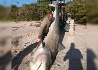 Pescador encontra tubarão de 3,6 metros da espécie Galha-Preta, em Cumuruxatiba