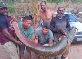 Pescadores capturam peixe com mais de 2 metros e 80 kg no Rio São Francisco: “Parecia um encanto
