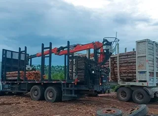 PETO apreende madeira e detém oito suspeitos por extração ilegal em Prado