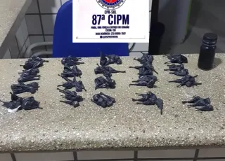 PM apreende 100 papelotes de cocaina em Teixeira de Freitas