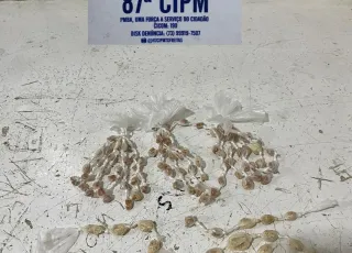 PM apreende 111 pedras de crack em Teixeira de Freitas