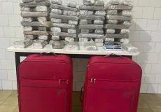 PM apreende 54 kg de maconha após confronto em área de mata em Alcobaça