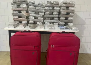 PM apreende 54 kg de maconha após confronto em área de mata em Alcobaça