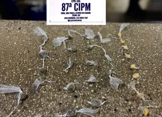 PM apreende crack e maconha no Bairro Tancredo Neves em Teixeira de Freitas