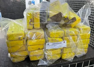 PM apreende mais de 24 kg de maconha durante ação em Itamaraju