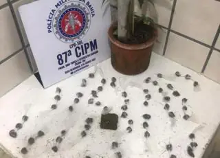 PM apreende menor com 74 papelotes de maconha