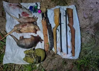 PM atua no combate ao crime ambiental na cidade de Itagimirim