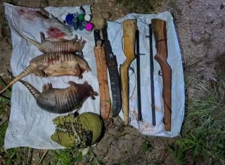 PM atua no combate ao crime ambiental na cidade de Itagimirim