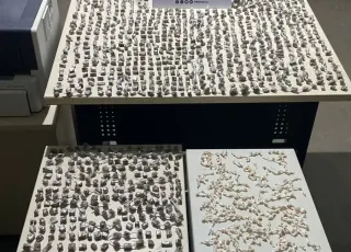 PM detém quatro pessoas e apreende drogas em Belmonte