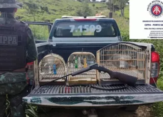 PMs da CIPPA/PS apreende armas de fogo e resgatam aves silvestres em situação de cativeiro ilegal na zona rural de Pau Brasil