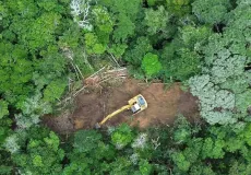 PMs da CIPPA/PS interrompem desmatamento ilegal em Arraial D’ Ajuda