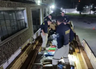 Polícia apreende 6 toneladas de maconha no estado do Rio