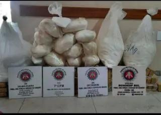 Policia apreende mais 180 quilos de drogas durante Operação Nero II