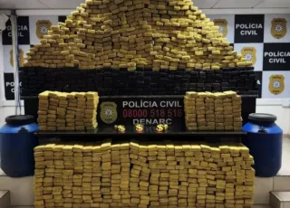 Polícia Civil apreende 700 kg de maconha em operação no interior do RS