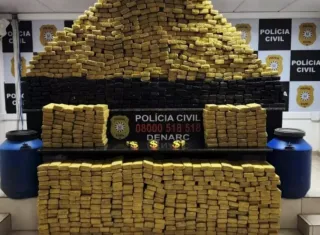 Polícia Civil apreende 700 kg de maconha em operação no interior do RS