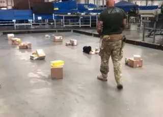Polícia Civil apreende drogas em 34 encomendas dos Correios