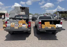 Polícia Civil da Bahia apreende mais de 200 quilos de drogas ligadas a organização criminosa do Rio de Janeiro