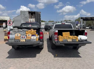 Polícia Civil da Bahia apreende mais de 200 quilos de drogas ligadas a organização criminosa do Rio de Janeiro