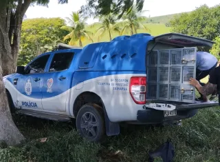 Polícia Civil prende suspeitos de envolvimento em homicídio no interior de Itamaraju