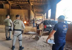 Polícia Civil incinera mais de 77 quilos de drogas apreendidas em Itamaraju