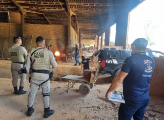 Polícia Civil incinera mais de 77 quilos de drogas apreendidas em Itamaraju