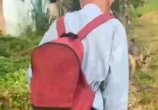 Polícia Civil prende idoso de 63 anos por estupro de vulnerável em Itamaraju