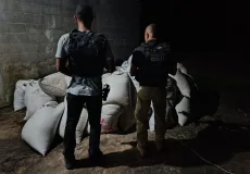 Polícia Civil recupera carga de café avaliada em R$ 50 mil após investigação em Eunápolis