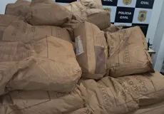 Polícia Civil recupera mais de 2,8 toneladas de pó de cacau subtraídas de caminhão envolvido em acidente de trânsito