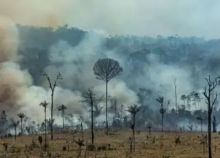 Polícia do Pará identifica suspeitos de provocar queimadas na Amazônia